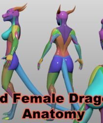 Stylized Female Dragonborn Anatomy Blockout