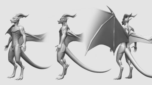 Winged Dragonborn Anatomy Blockout - Image 11