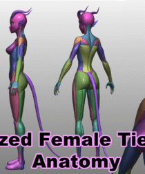 Stylized Female Tiefling Anatomy Blockout