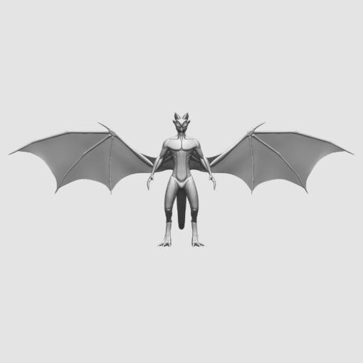 Winged Dragonborn Anatomy Blockout - Image 7